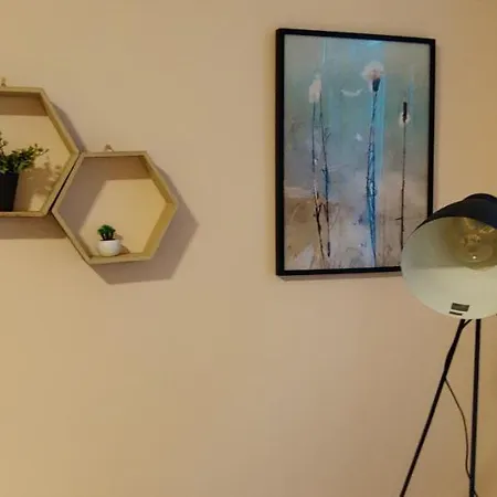 Cs50 1 * Monforte De Lemos