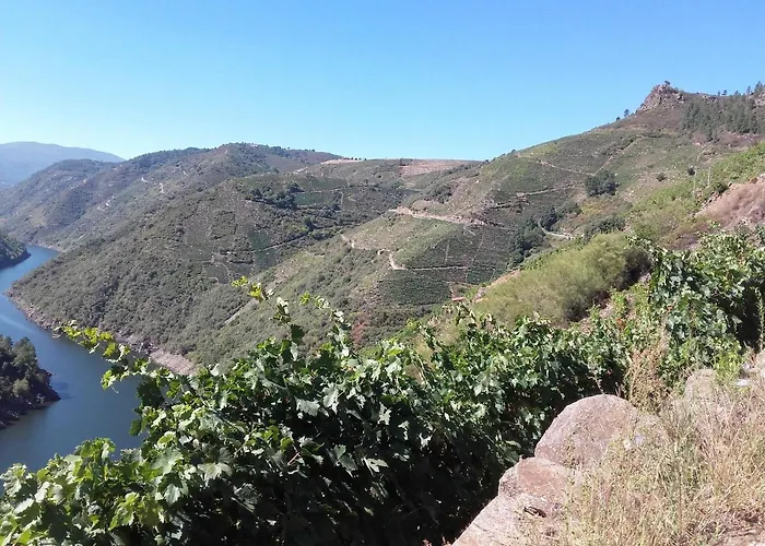 Cs50 1 * Monforte De Lemos